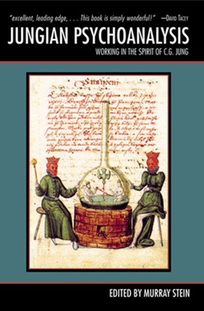 Jungian Psychoanalysis, Murray Stein - Paperback - 9780812696684