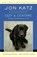 Izzy & Lenore, Jon Katz - Paperback - 9780812977745