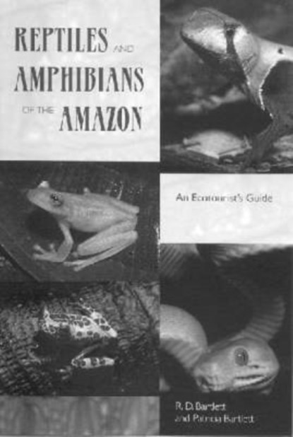 Reptiles and Amphibians of the Amazon, Richard D. Bartlett ; Patricia Bartlett - Paperback - 9780813026237