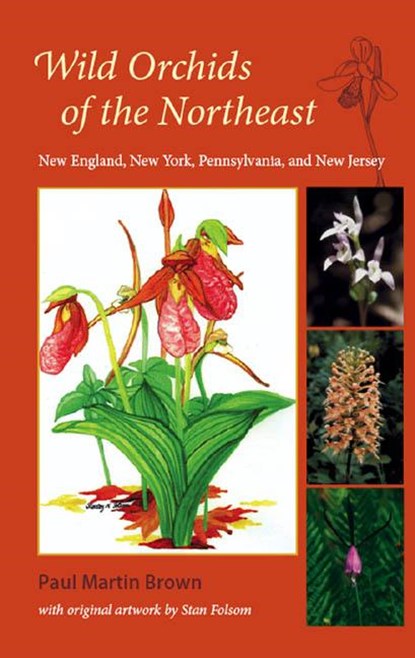 Wild Orchids of the Northeast, BROWN,  Paul Martin - Paperback - 9780813030340