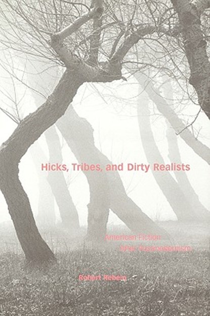 Hicks, Tribes, and Dirty Realists, Robert Rebein - Paperback - 9780813192345