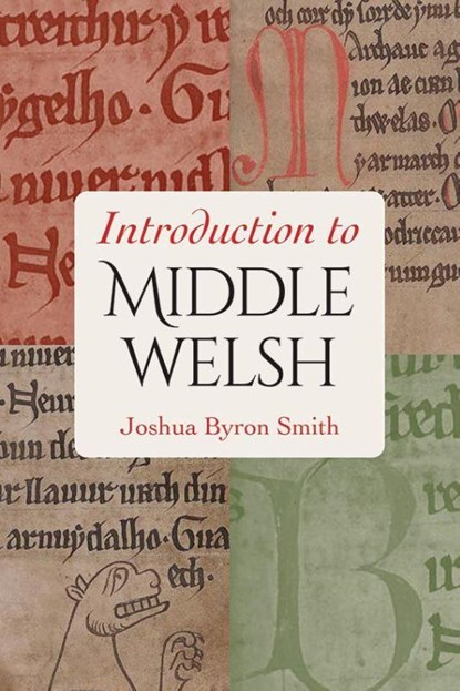 Introduction to Middle Welsh, Joshua Byron Smith - Paperback - 9780813240039
