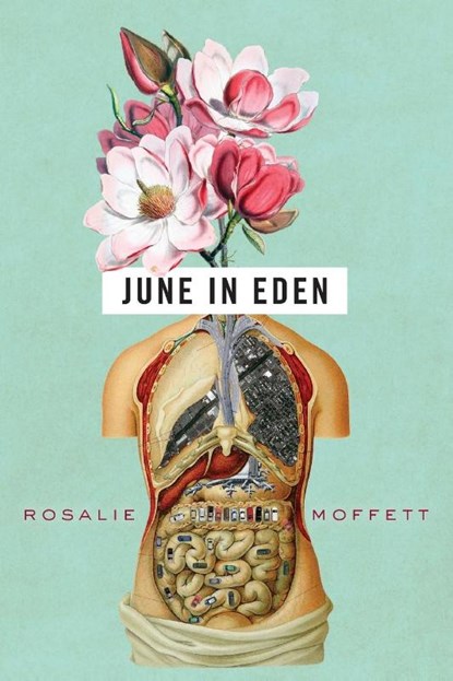June in Eden, Rosalie Moffett - Paperback - 9780814253847