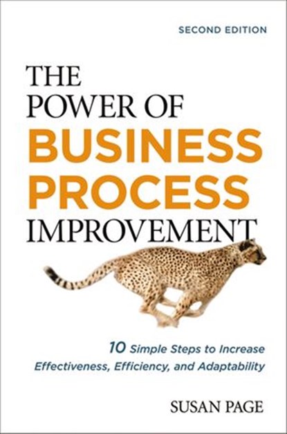 The Power of Business Process Improvement, Susan Page - Ebook - 9780814436622