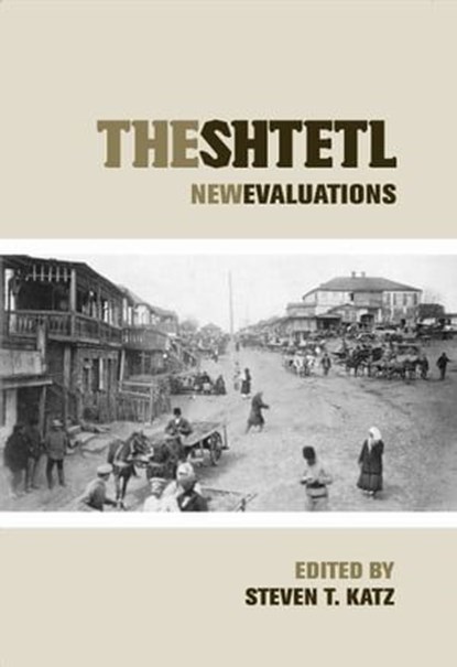 The Shtetl, Steven T Katz - Ebook - 9780814748626