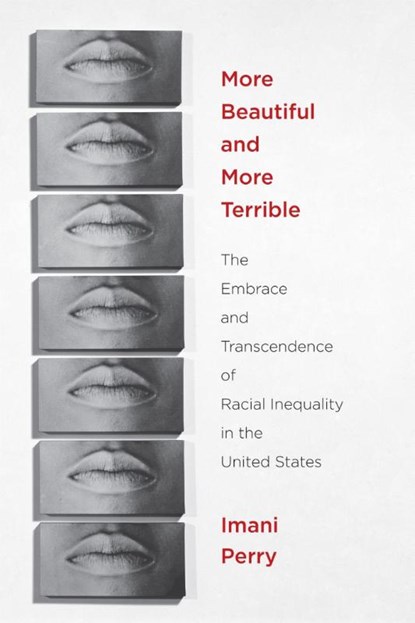 More Beautiful and More Terrible, Imani Perry - Paperback - 9780814767375