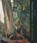 Winslow Homer in the Adirondacks, David Tatham - Paperback - 9780815607731