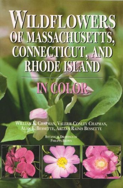 Wildflowers of Massachusetts, Connecticut, and Rhode Island in Color, William K. Chapman ; Valerie Conley Chapman ; Alan E. Bessette ; Arleen R. Bessette - Paperback - 9780815609261