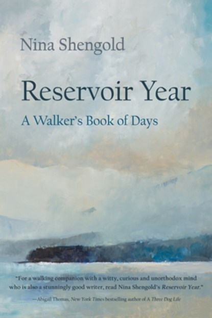 Reservoir Year, Nina Shengold - Paperback - 9780815611240