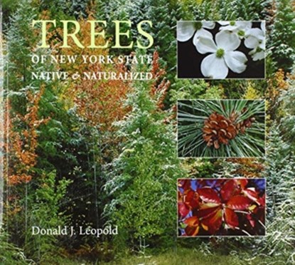 Trees of New York State, Donald J Leopold - Paperback - 9780815611318