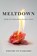 Meltdown, Yoichi Funabashi - Gebonden - 9780815732594