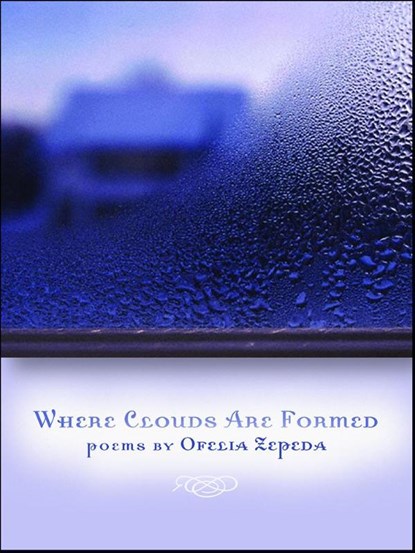 Where Clouds are Formed, Ofelia Zepeda - Paperback - 9780816527793