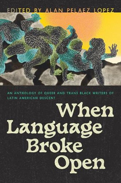 When Language Broke Open, Alan Pelaez Lopez - Paperback - 9780816549962
