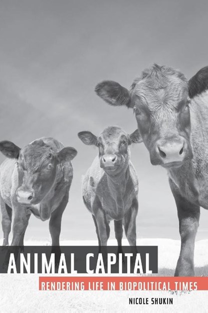 Animal Capital, Nicole Shukin - Paperback - 9780816653423