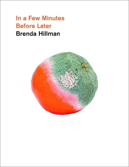 In a Few Minutes Before Later, Brenda Hillman - Paperback - 9780819501226