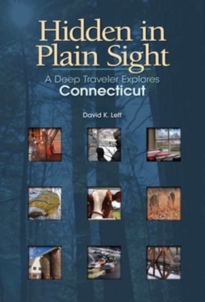 Hidden in Plain Sight, David K. Leff - Ebook - 9780819572820