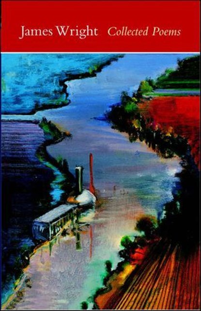 Collected Poems, Joseph Ceravolo - Ebook - 9780819573421