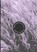 Archeophonics, Peter Gizzi - Gebonden - 9780819576804