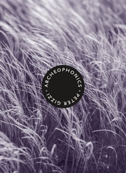 Archeophonics, Peter Gizzi - Ebook - 9780819576811