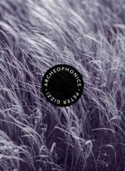 Archeophonics, Peter Gizzi - Paperback - 9780819577726