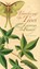 Teaching the Trees, Joan Maloof - Paperback - 9780820329550