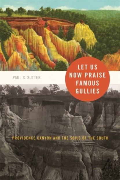 Let Us Now Praise Famous Gullies, Paul S. Sutter - Gebonden - 9780820334011