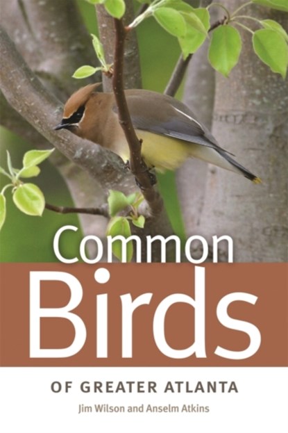 Common Birds of Greater Atlanta, Jim Wilson ; Anselm Atkins - Paperback - 9780820338255