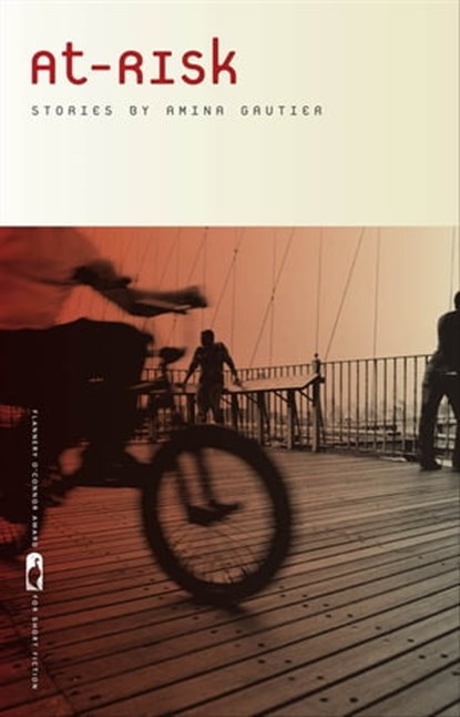 At-Risk, Amina Gautier - Ebook - 9780820341323