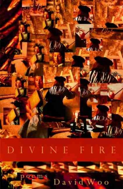 Divine Fire, David Woo - Paperback - 9780820358840