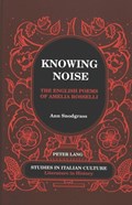 Knowing Noise | Ann Snodgrass | 