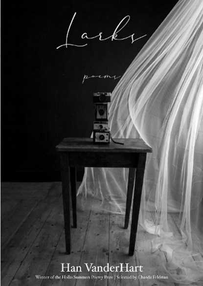 Larks, Han VanderHart - Paperback - 9780821425916