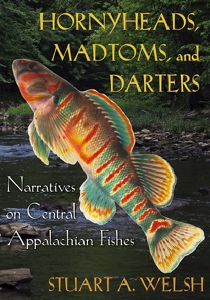 Hornyheads, Madtoms, and Darters, Stuart A. Welsh - Paperback - 9780821426104