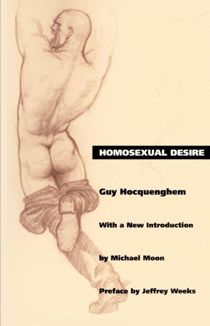 Homosexual Desire, Guy Hocquenghem - Paperback - 9780822313847