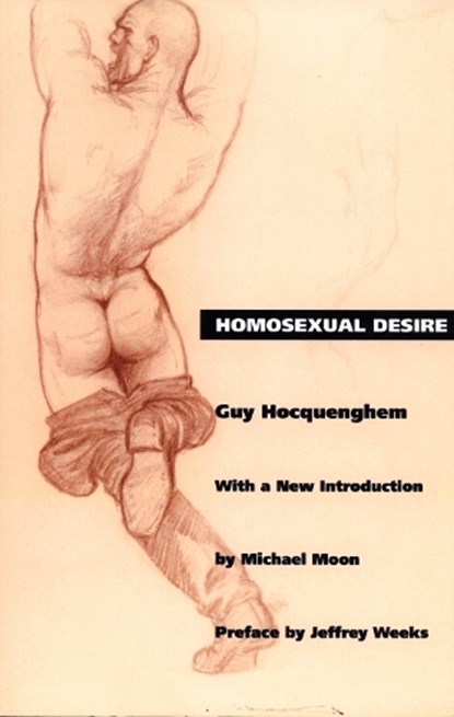 Homosexual Desire, Guy Hocquenghem - Paperback - 9780822313847