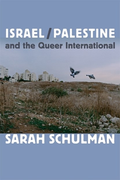 Israel/Palestine and the Queer International, Sarah Schulman - Paperback - 9780822353737