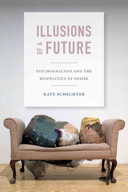 Illusions of a Future, Kate Schechter - Paperback - 9780822357216
