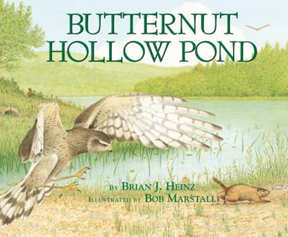 Butternut Hollow Pond, Brian Heinz - Paperback - 9780822559931