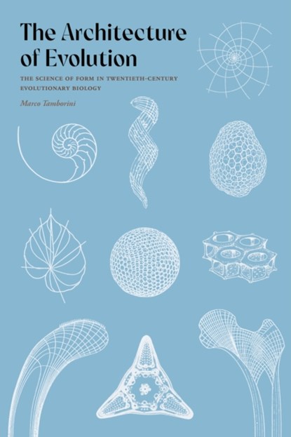 The Architecture of Evolution, Marco Tamborini - Gebonden - 9780822947356