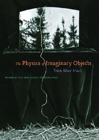 The Physics of Imaginary Objects, Tina May Hall - Paperback - 9780822961550