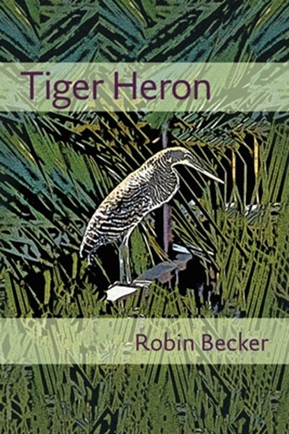 Tiger Heron, Robin Becker - Paperback - 9780822962984