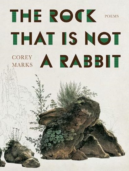 The Rock That Is Not a Rabbit, Corey Marks - Paperback - 9780822967156