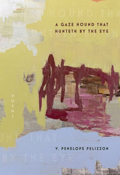 A Gaze Hound That Hunteth By the Eye, V. Penelope Pelizzon - Paperback - 9780822967217