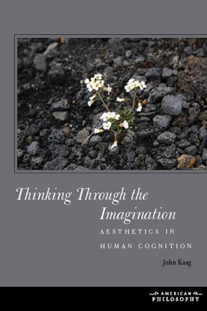 Thinking Through the Imagination, John Kaag - Gebonden - 9780823254934