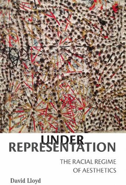 Under Representation, David Lloyd - Paperback - 9780823282371
