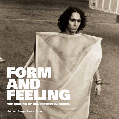 Form and Feeling, Antonio Sergio Bessa - Paperback - 9780823289110