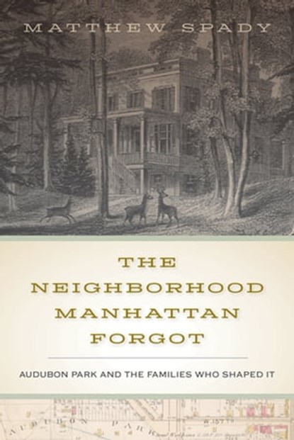 The Neighborhood Manhattan Forgot, Matthew Spady - Ebook - 9780823289431