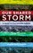 Our Shared Storm, Andrew Dana Hudson - Paperback - 9780823299546