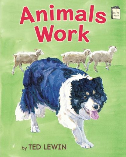 ANIMALS WORK, Ted Lewin - Paperback - 9780823434541