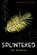 Splintered, Jon McGoran - Paperback - 9780823445462