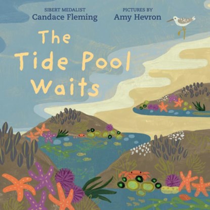 The Tide Pool Waits, Candace Fleming - Gebonden - 9780823449156